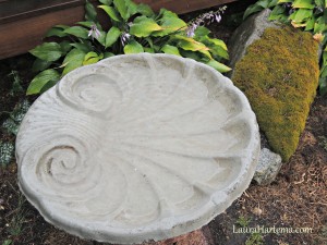 birdbath runneth over2